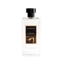 Show details for Fabian Cavaliri EDP 100ml Picture of Fabian Cavaliri EDP 100ml