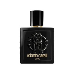 Show details for Roberto Cavalli Uomo EDT 100ml Picture of Roberto Cavalli Uomo EDT 100ml