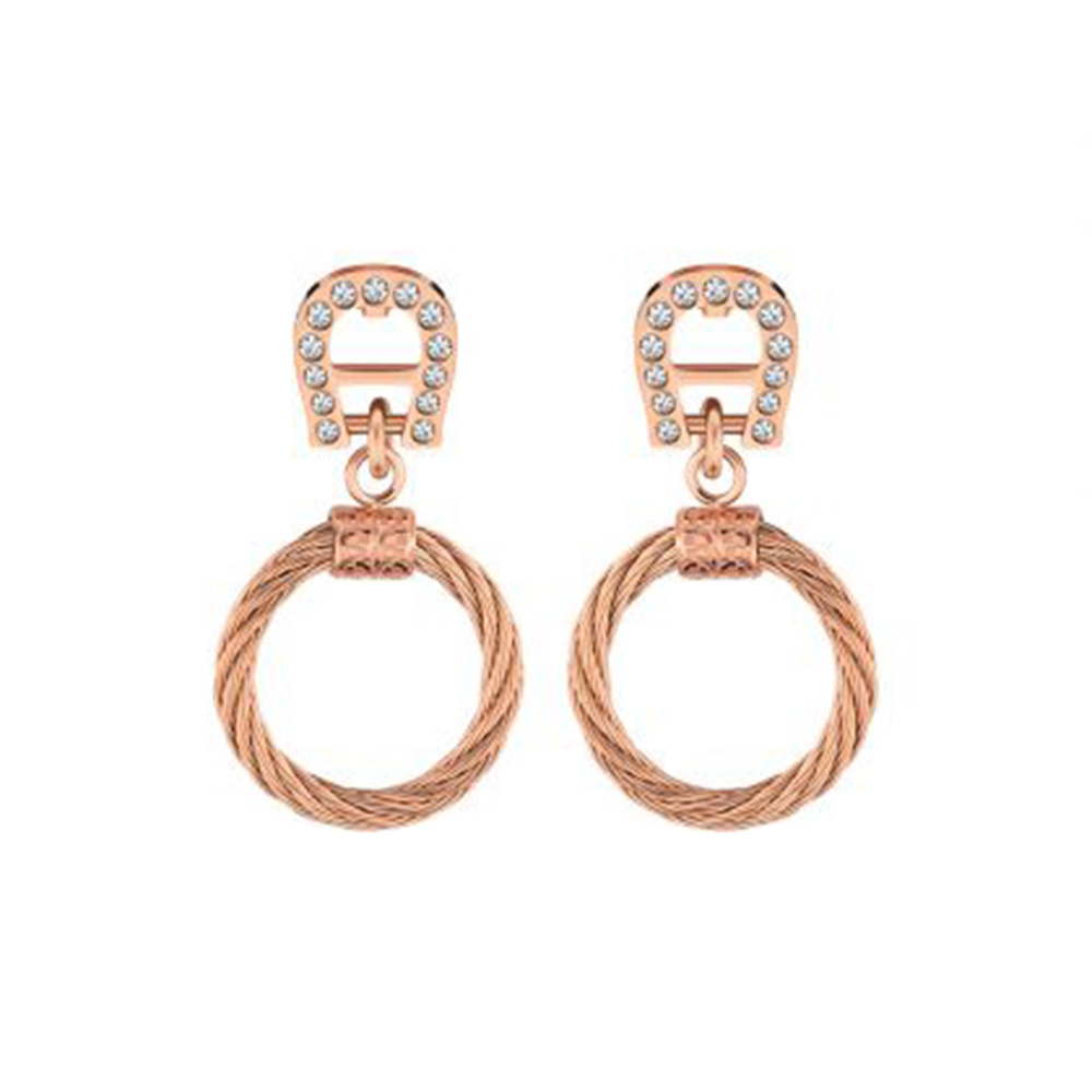 Picture of Aigner Olga Earring for Women ARJLE2195503