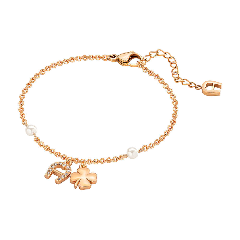Picture of Aigner Gia Bracelet ARJLB0001203