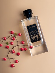 Picture for category Fragrance