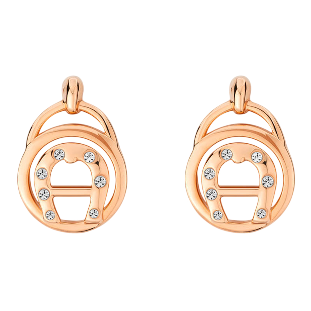 Picture of Aigner Aidda Rose Gold Logo Stud Earrings ARJLE0002303