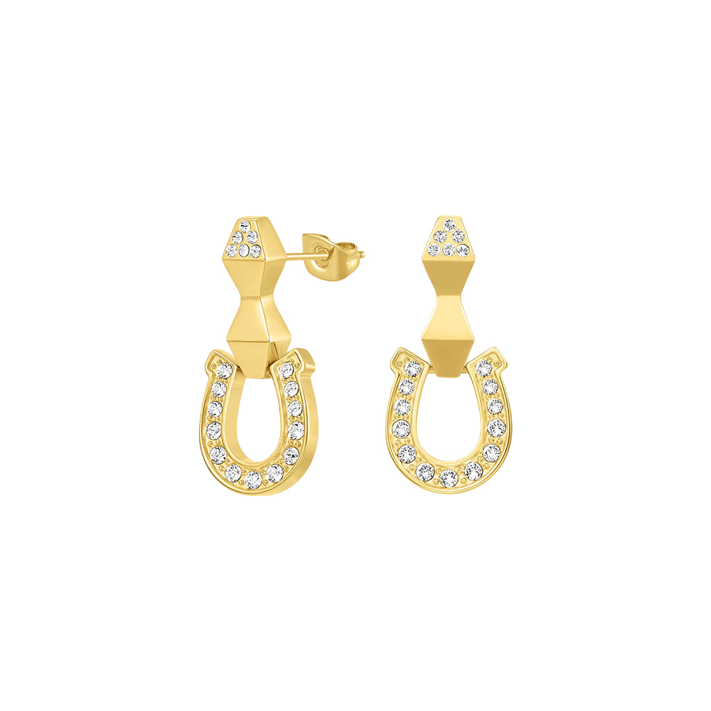 Picture of CERRUTI 1881 Gabriella Rose Gold Crystal Stud Earrings CIJLE0010802