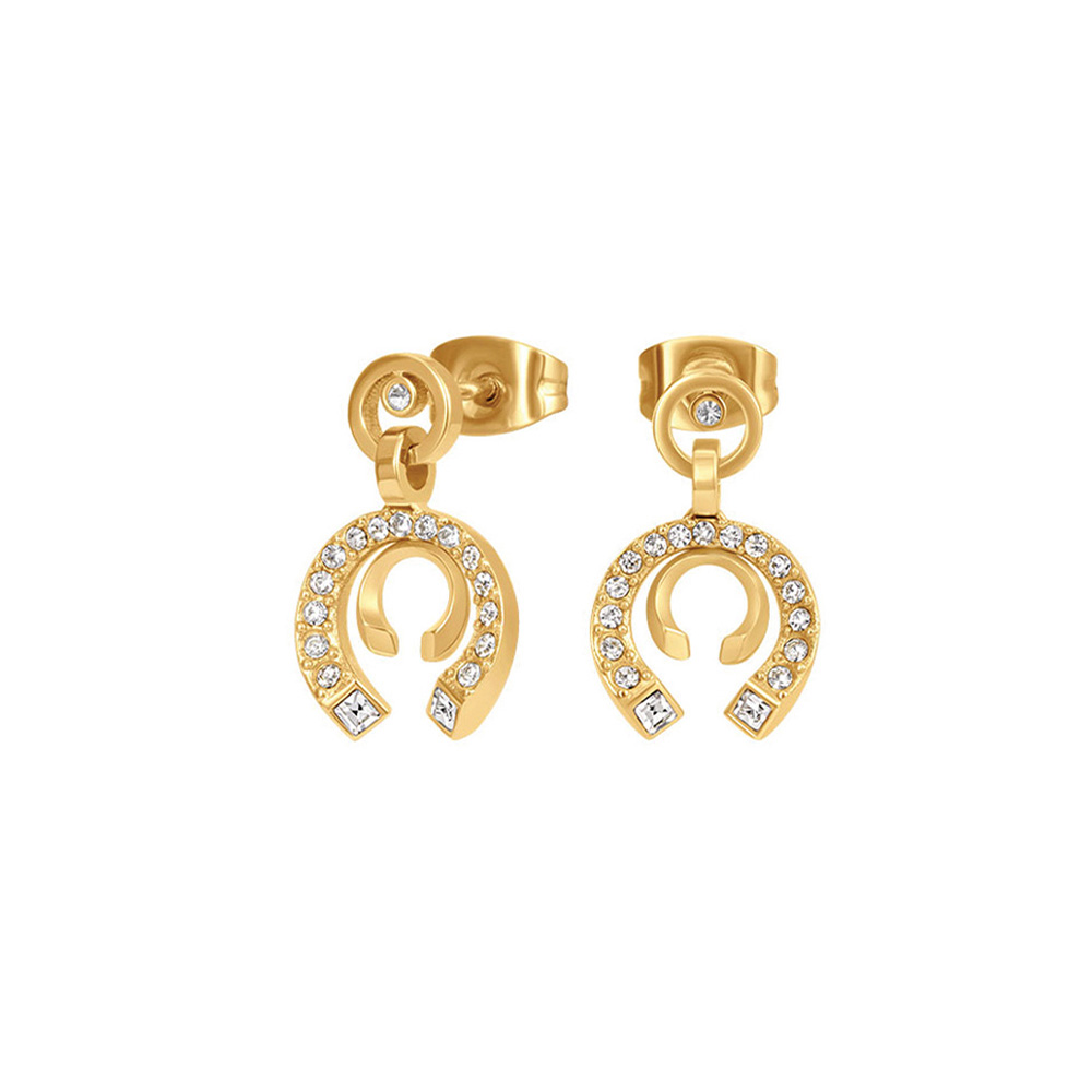 Picture of Cerruti 1881 Amalia Gold Zirconia C Earrings For Women CIJLE0012901